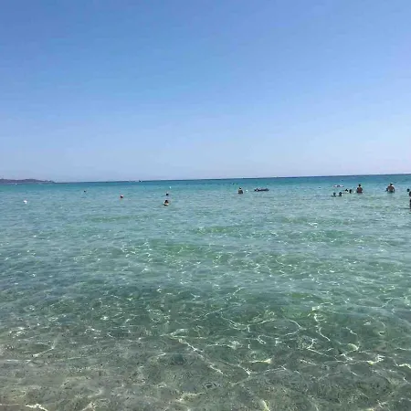 Elisabetta ヴィッラシミーウス